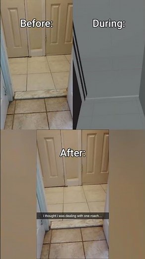 One Roach Turned Into a Nightmare (Behind The Scenes) #cockroach #viral