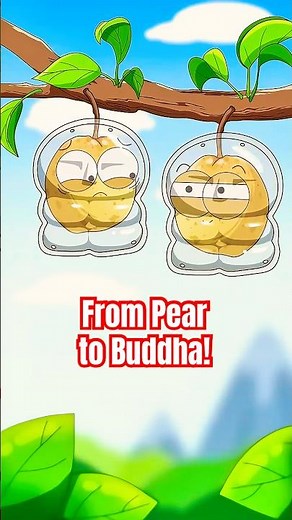 From Pear to Buddha! Wacky Farm Experiment! 🍐 #pear #animation