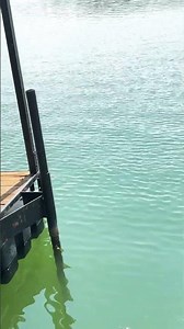 Changing boat dock floats #carpenter #diy #video #viral #viralvideo #yt #ytshort #youtube #youtuber