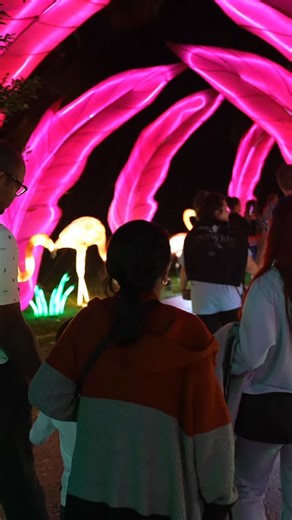 ✨ Glow Wild This Holiday Season! ✨ Experience the magic of Lanterns & Lights Safari Nights — the first-ever lantern festival at Lion Country Safari! 🌙🦁 From November 2025 through January 2026, explore 60 glowing exhibits, hand-crafted wildlife lanterns, and a jaw-dropping Prehistoric Land of Legends. 🎄 Sip festive cocktails, snap sparkling photos, and see Santa on select December nights — all after dark in a glowing nighttime wonderland. 🎟️ Tickets are now on sale: $27.99 | At the Gate: $29.