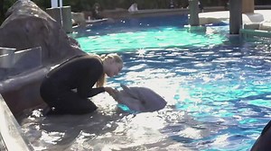 28K views · 847 reactions | Relationships come in all shapes and...