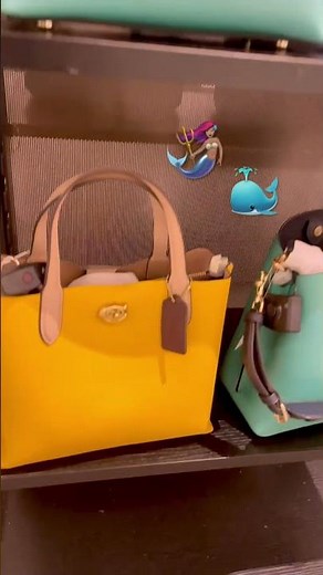 🤯 Uncover the Stylish Secret of the Coach Colorblock Willow Bucket bag & Tote bag #coachbag #macys