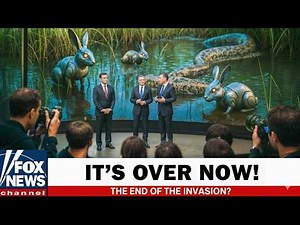 Florida Released HUNDREDS of Robotic Rabbits to Kill Pythons - See What the Cameras Captured