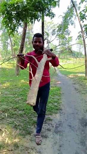 Hira vlog Funny Shorts #instareels #viralcomedy #reels