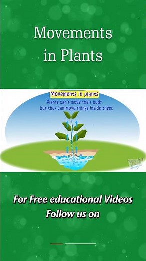 Plant Movement | Movements in Plants | Features of Plants | Science #shorts