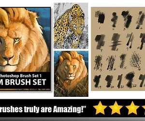 ArtStation - Aaron Blaise | Custom Photoshop Brushes – Set 1 | Brushes