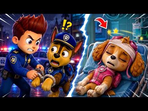 SKY GOT INJURED?! PAW PATROL SHOCKED💔PAW Patrol Funny Animation | Rainbow 3