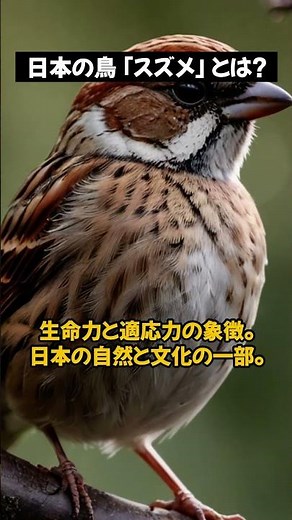 【雑学】日本の鳥「スズメ」とは？①｜スズメの秘密