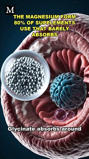 The Magnesium Form 80% of Supplements Use That Barely Absorbs