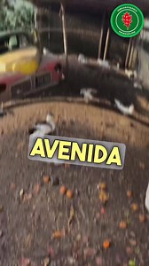 172K views · 655 reactions | ESTE FINDE LOS ESPEREMOS A TODOS LOS NIÑOS Y NO TAN NIÑOS  Día de campo con pensión completa # desayuno libre # almuerzo libre # merienda libre Hace tu reserva al WhatsApp  | Complejo Ecológico Naturaleza Viva | Facebook