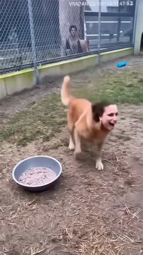 Bennett Waisbren on Instagram: "Interrupted feeding window"
