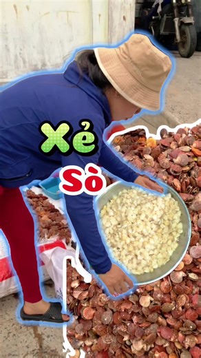 Guide to Preparing Fresh Sò Điệp Shellfish