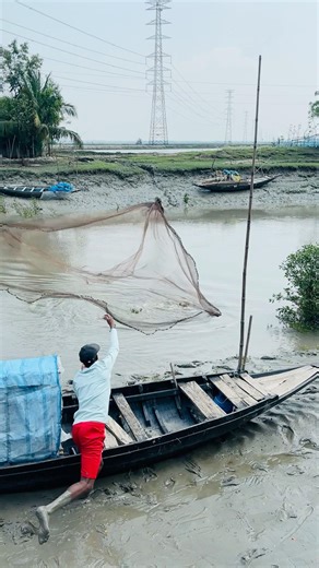 Amazing cast net fishing in the sundarbons river #amazing #fishing #village life#viral #reels age