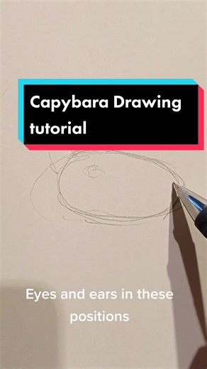 Step-by-Step Capybara Drawing Tutorial