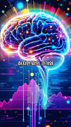 네안데르탈인의 목소리, 정말 이렇게 들렸을까? #mystery