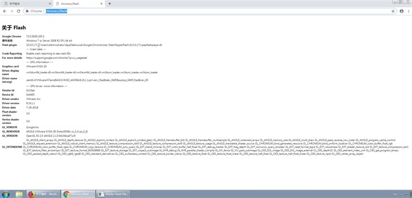 Adobe Flash Player 去区域限制修补程序 使用教程