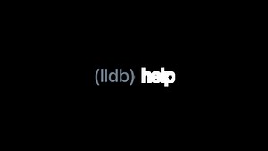 Debug Swift debugging with LLDB - WWDC22 - Videos - Apple Developer