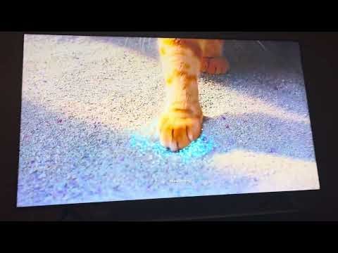 Fresh Step Commercial 2026