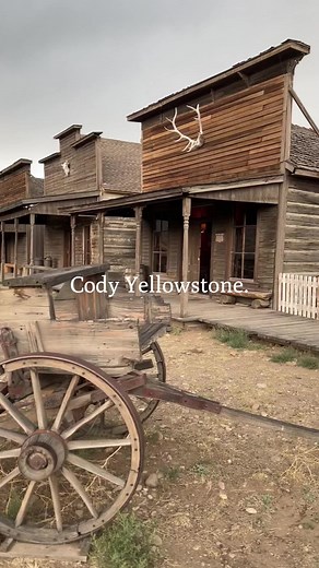 Exploring Cody Wyoming and Yellowstone National Park