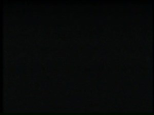 A Dream Called Walt Disney World (1981, 1988 VHS)