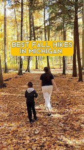 Take a colorful fall hike at Hartwick Pines State Park in Grayling, Michigan ✨️🍂 With 49 acres of majestic old-growth pine forest, ADA accessible trails, logging museum, playground, campground and more. #hiking #michigantravel #travelmichigan #hartwickpines #graylingmichigan | Cassondra Wanders