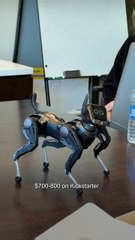 Hengbot Sirius robot dog