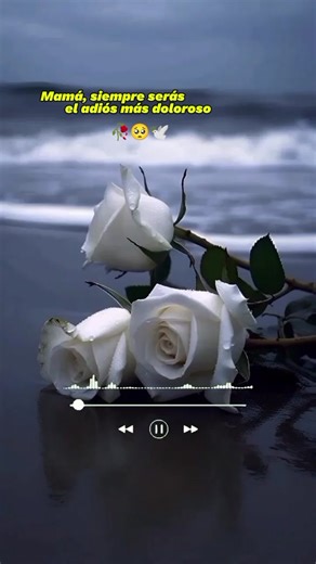 Te extraño mucho mamá🤍🥺🕊 #mimamamiangelenelcielo🕊️🤍 #teextrañomamá #dondeestaramiprimavera #miryamhernandez😍🎶 #romancemusical1 #romanticas1parati