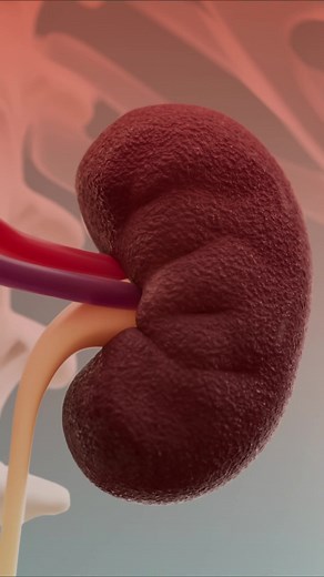 750K views · 10K reactions | Kidney damaging habits, Part 2. #Health #Science #Reels #Medical | Doctor ASKY | Facebook