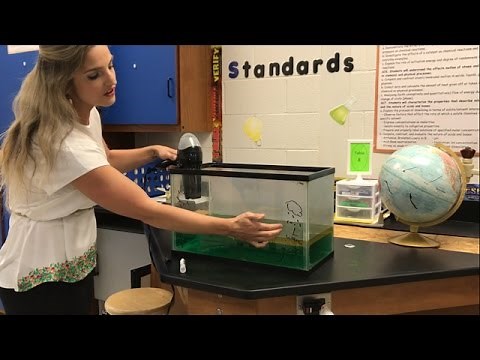 How to Explain El Niño