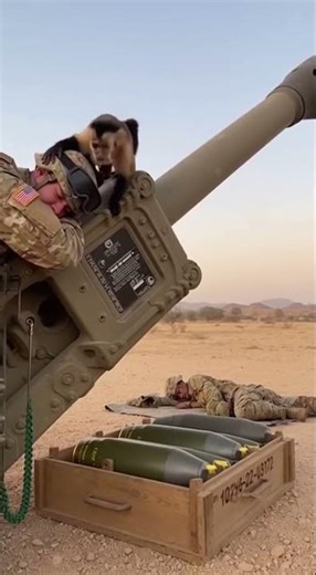 🚨 MONKEY FIRES MILITARY CANNON WHILE SOLDIER SLEEPS 😳💥 | LEAKED REAL FOOTAGE