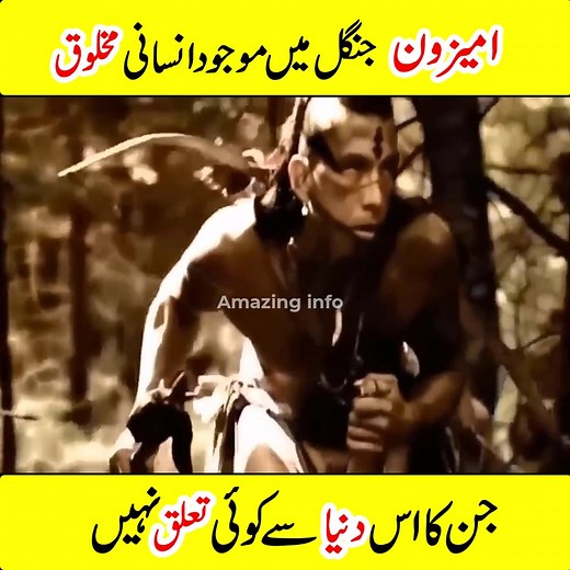 379K views · 7K reactions | Humans Living in the Amazon Forest With...