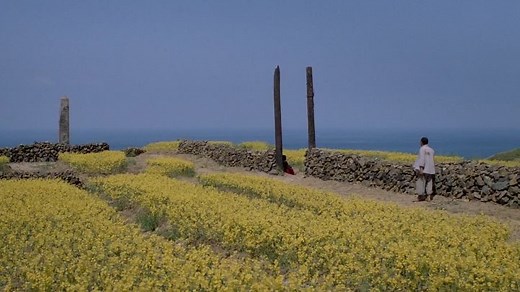 Hill of No Return 1992 ‘無言的山丘’ Directed by Wang Tung