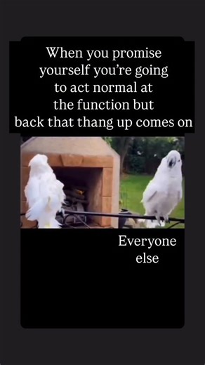 Jami Nato on Instagram: "Sorry. Not responsible for what happens when this banger comes on."