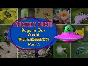 【ABC互動英語：20221101】本月焦點：歡迎光臨蟲蟲世界 Part A