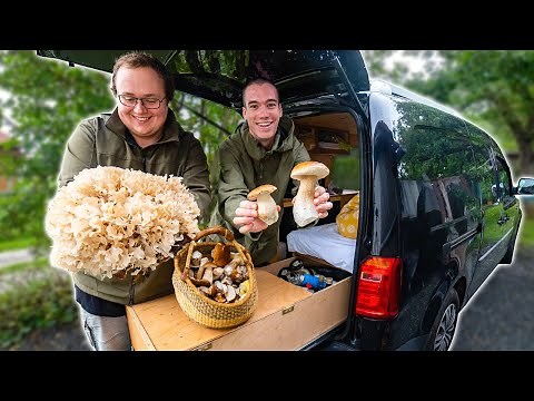 Massive Haul of Edible Mushrooms - Living in my Van, Foraging and Cooking Wild Food