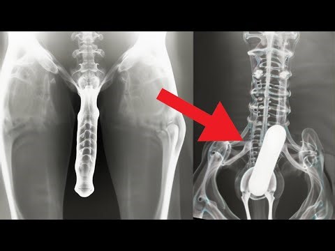 20 Emerging Technologies That Will Change Our World Forever