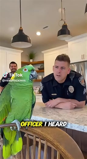 Mr Unknown (@animallover_888)’s videos with original sound - Mr Unknown