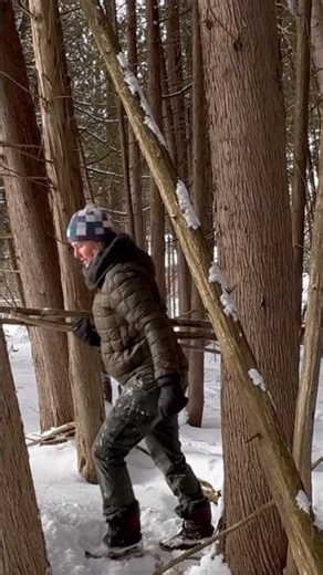 Making a Simple Walking Stick