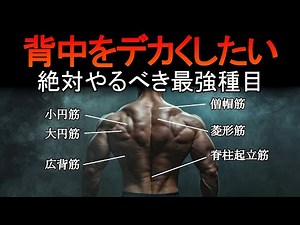 背中トレでデカくなりたいなら今すぐこれをやれ！背中の最強種目と筋トレ法を科学的に徹底解説！