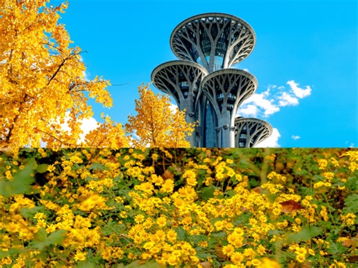 25.11.01 秋日奥森