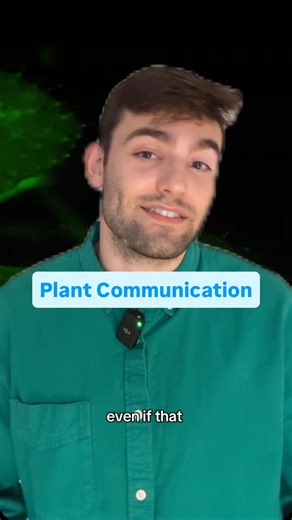 IAN on Instagram: "Plants communicate, and can understand their neighbors are getting attacked by insects, via airborne molecules called Volatile Organic Compounds (VOCs) Sources: 1) A Review of Biogenic Volatile Organic Compounds from Plants: Research Progress and Future Prospects (MDPI) 2) Green leaf volatile sensory calcium transduction in Arabidopsis (Nature Communications) 3) Herbivore specificity and the chemical basis of plant–plant communication in Baccharis salicifolia (New Phytologist)