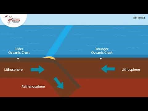 Convergence (oceanic crust)