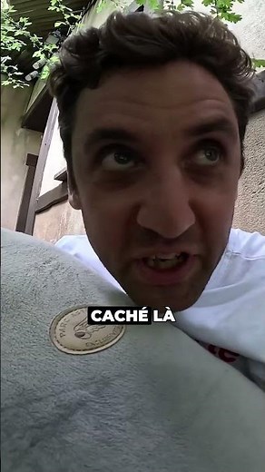 Cache-cache géant dans la forêt d'Idéfix