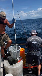 12K views · 162 reactions | Capt Art with the Grouper! #fishing #florida #grouper DestinFloridaDeepSeaFishing.com | American Spirit Party Boat | Facebook