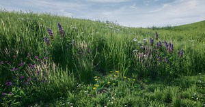 Creating Next-Gen Grass In UE4