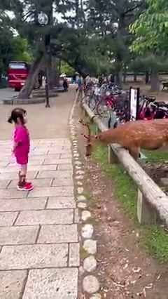 Thank you little angel. | Amazing World