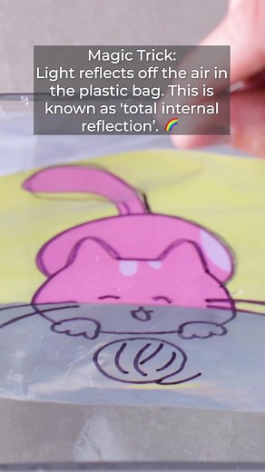 Ever heard of total internal reflection? 🪞 Me neither! This cute science experiment explains this phenomenon, and is fun for all ages! 🖍️💧#blossom #scienceexperiment #kidsscience #kidsscienceexperiment #reflection #light #coloredpencils #refraction #magictrick #magic #scienceismagic #kidsactivity #learning #playandlearn #curiosity #afterschoolscience