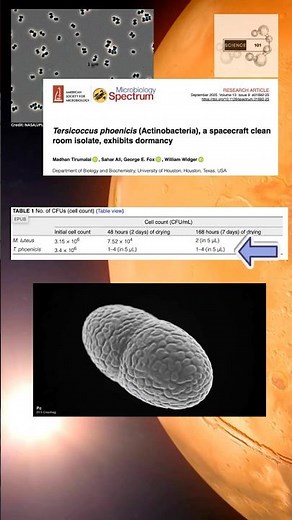 The Bacteria NASA Couldn’t Kill
