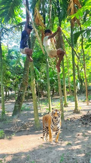 2 man trayin to kill a tiger inside the forest #vfx #wildlife #reels #shorts #leopard #tiger | Vfx Babu | Facebook