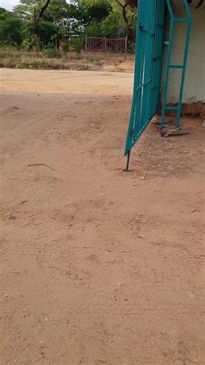 HAKUNA MATATA (@akuna.matata957)’s videos with original sound - HAKUNA MATATA